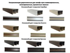 Направляющие двухполосные для шкафа купе ламинированные, шпонированные, крашенные эмалью Петрозаводск